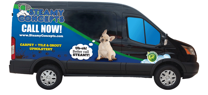 Vail carpet cleaning van